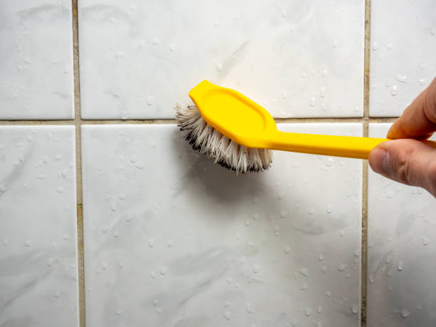 Reliable Romney, WV Mold Removal Solutions