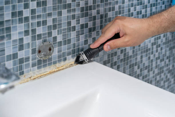 Trusted Romney, WV Mold Removal Experts