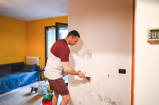 Best Certified Mold Removal  in Romney, WV